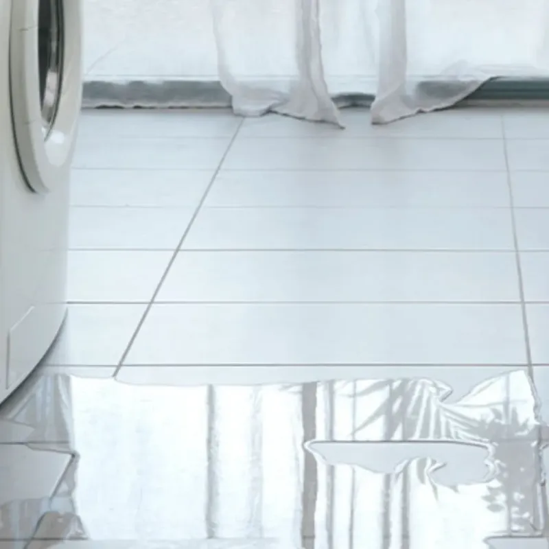 Appliance Leak Cleanup in Creola, AL