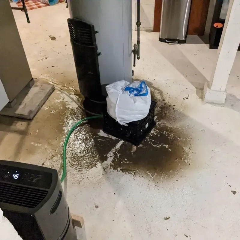 Sewage Backup Cleanup Service in Creola, AL